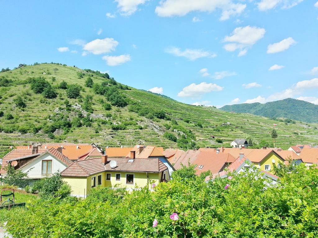 Gaestehaus Zur Schoenen Aussicht Spitz an der Donau Exterior foto